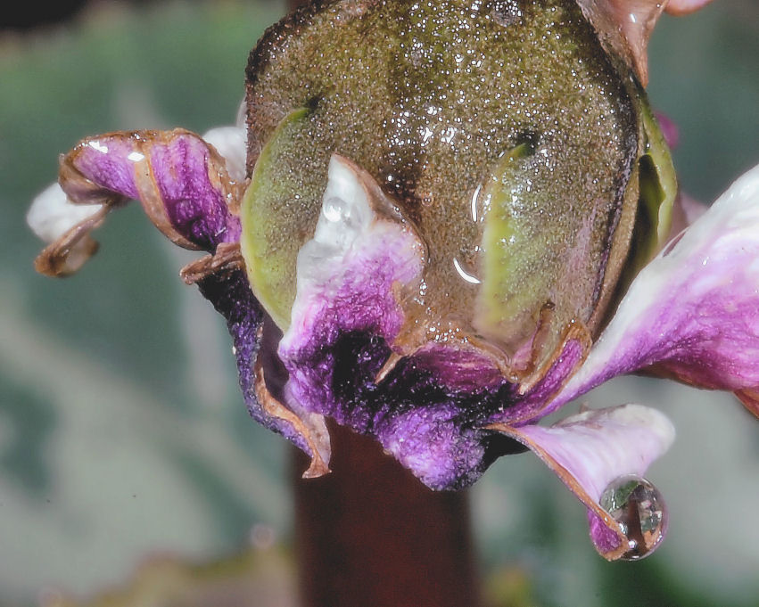 Contrapposizione.....!